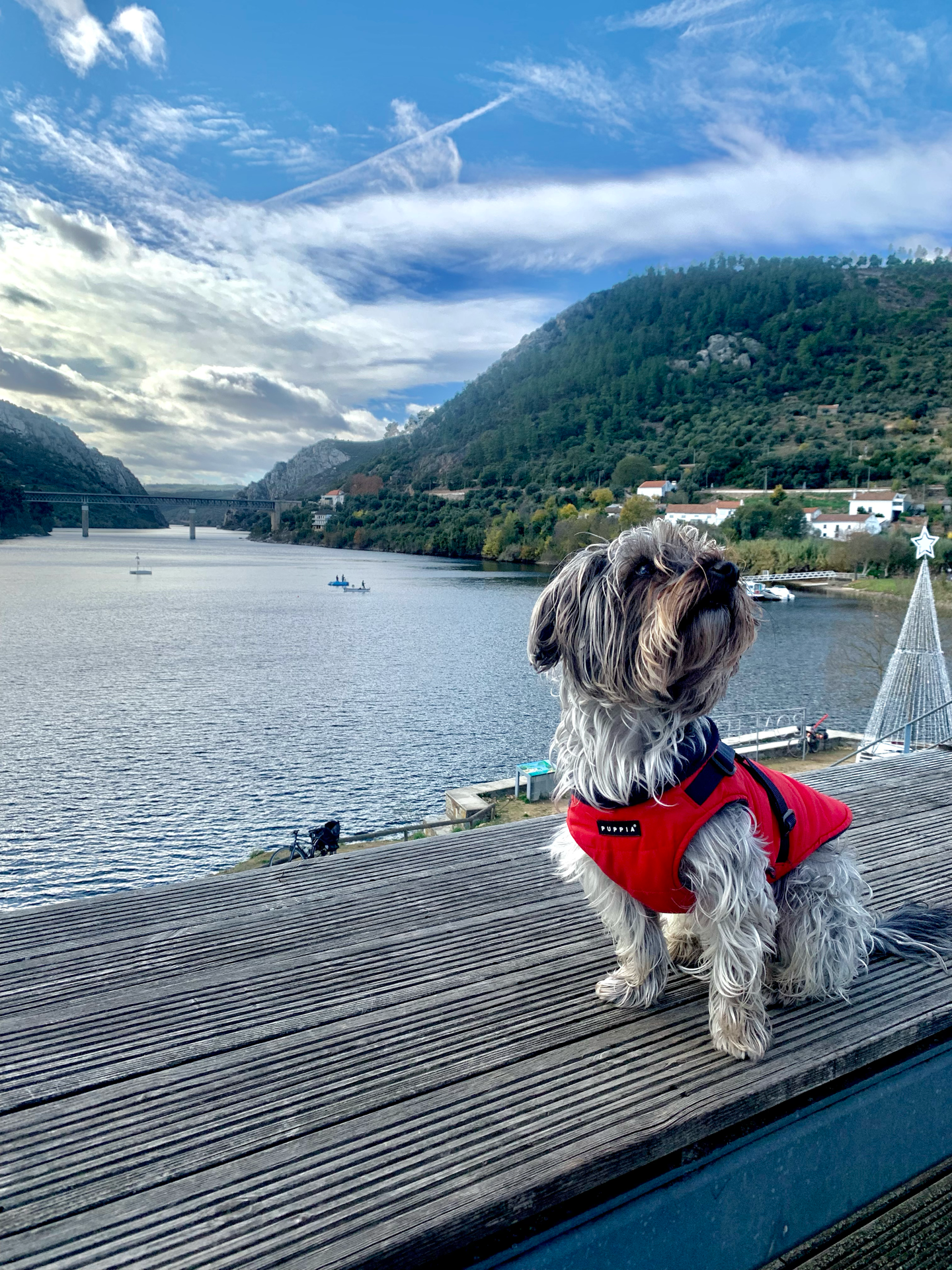 Portas de Ródão, 2021